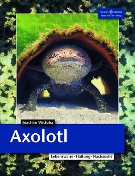 Axolotl