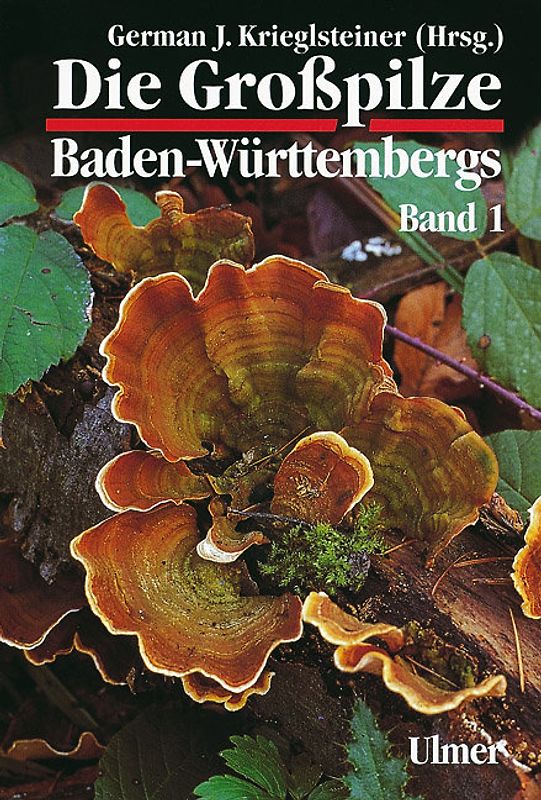 Die Grosspilze Baden-Württembergs / Die Großpilze Baden-Württembergs Band 1