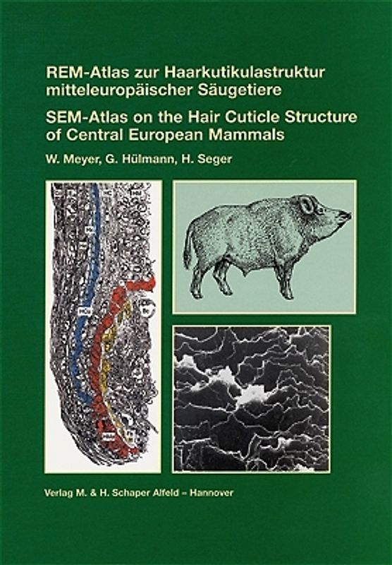 REM-Atlas zur Haarkutikulastruktur mitteleuropäischer Säugetiere