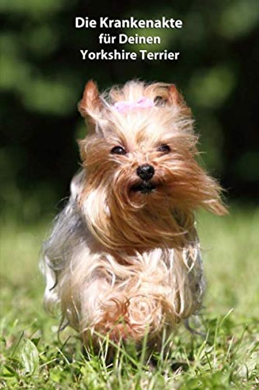 Die Krankenakte für Deinen Yorkshire Terrier: Dokumentiere mit einer sinnvollen Vorlage schnell und einfach die Krankheiten / Verletzungen Deines Hundes