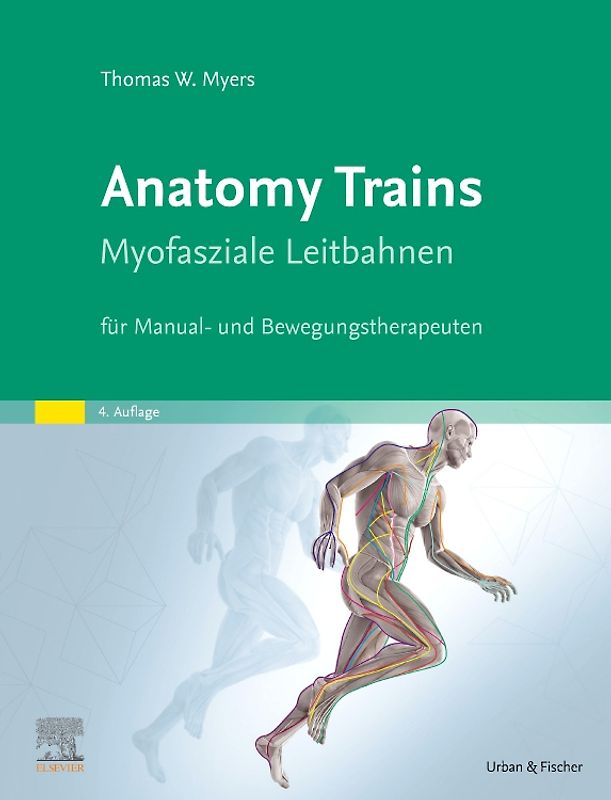 Anatomy Trains