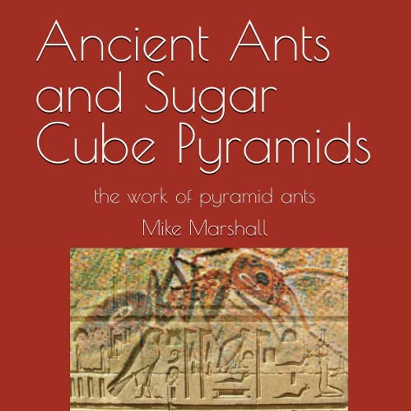 Ancient Ants and Sugar Cube Pyramids: the work of pyramid ants