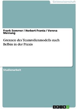 Grenzen des Teamrollenmodells nach Belbin in der Praxis