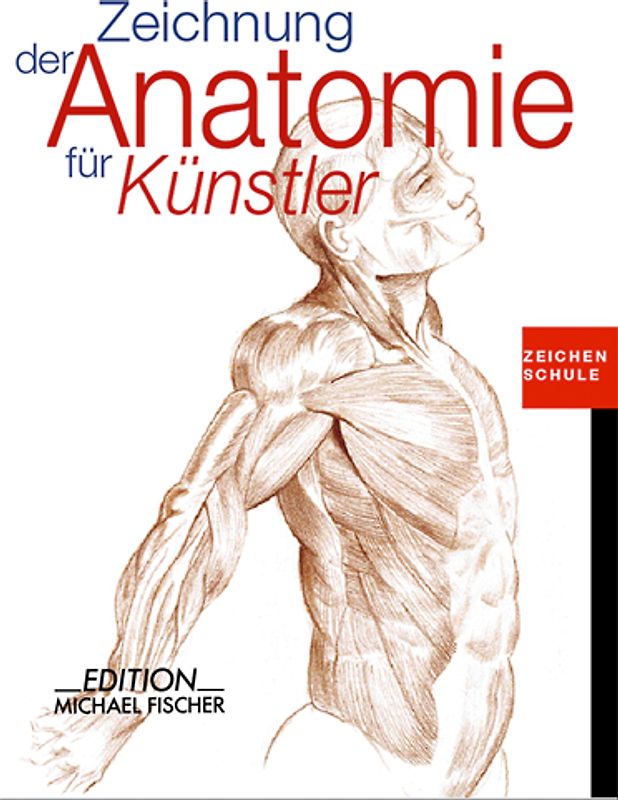 Zeichnung der Anatomie für Künstler