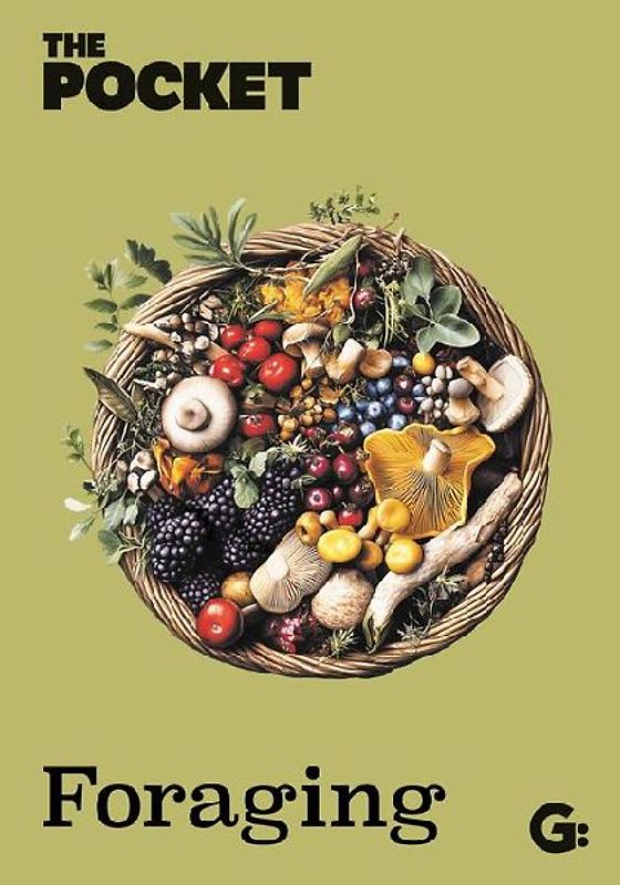 The Pocket Foraging