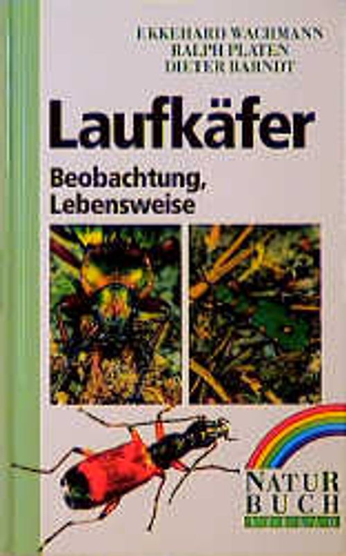 Laufkäfer. Beobachtung, Lebensweise