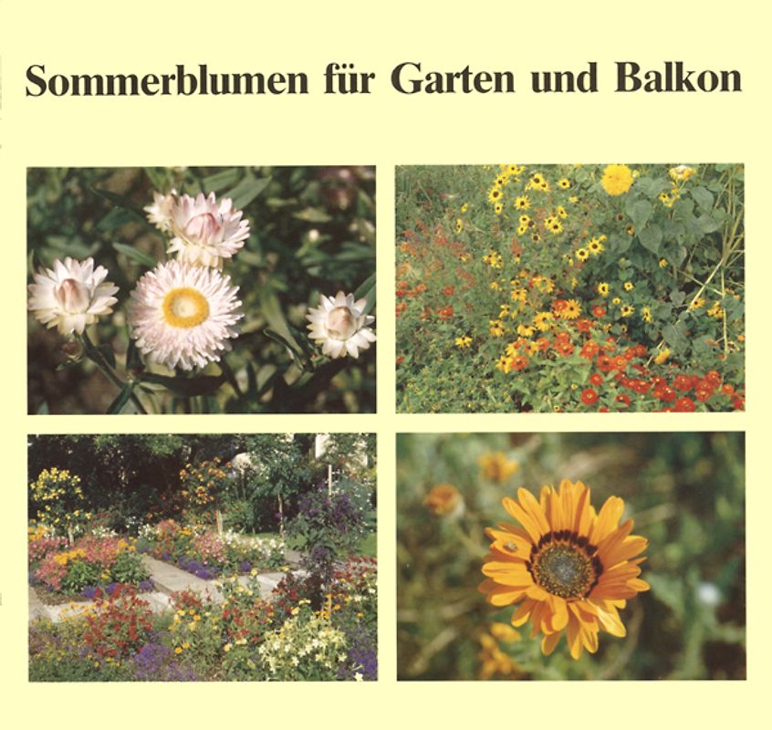 Sommerblumen für Garten und Balkon
