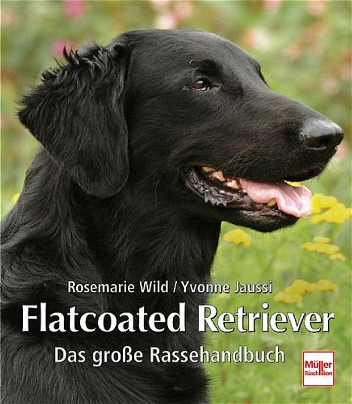 Flatcoated Retriever