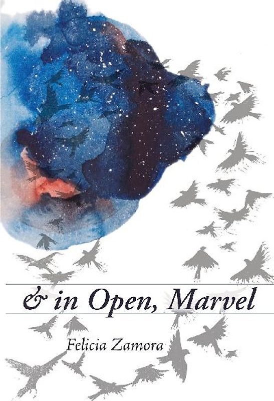 & in Open, Marvel