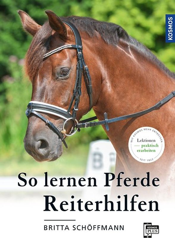 So lernen Pferde Reiterhilfen