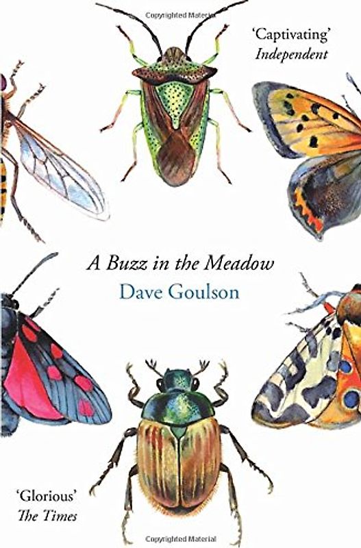 A Buzz in the Meadow - Goulson, Dave