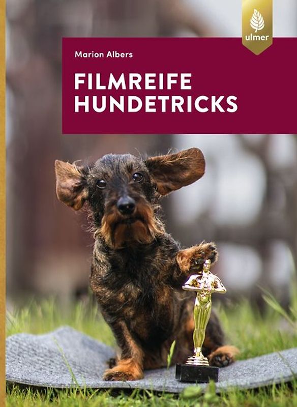 Filmreife Hundetricks