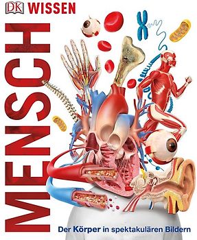 DK Wissen. Mensch