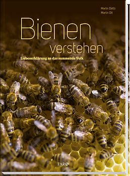 Bienen verstehen