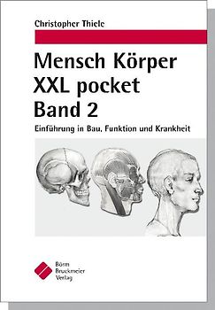 Mensch Körper XXL pocket. Band 2