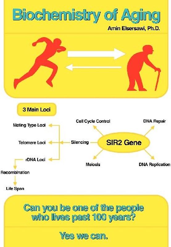 Biochemistry of Aging