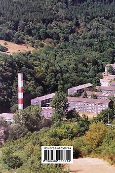 Rheinsteig Wanderführer (Rheinsteig Hiking Guide)