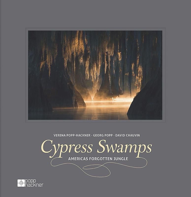 CYPRESS SWAMPS