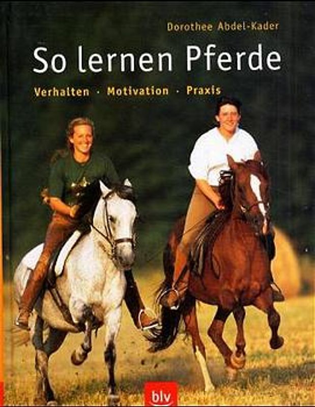 So lernen Pferde