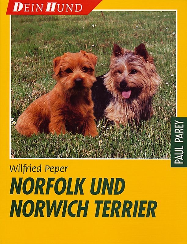 Norfolk und Norwich Terrier