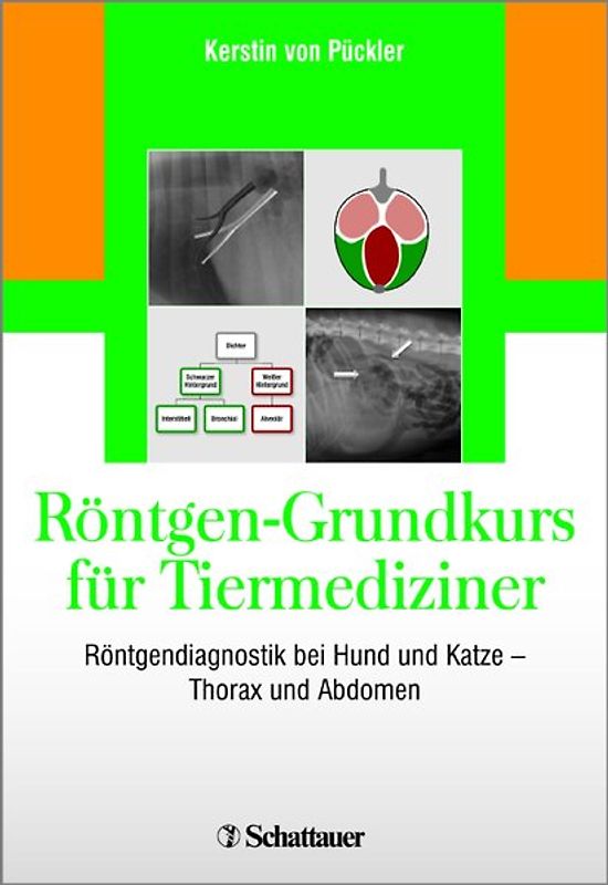Röntgen-Grundkurs für Tiermediziner
