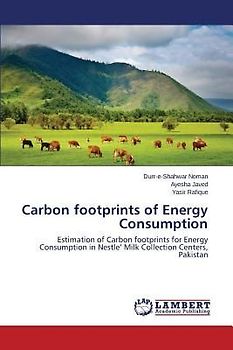 Carbon footprints of Energy Consumption