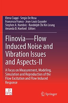 Flinovia—Flow Induced Noise and Vibration Issues and Aspects-II