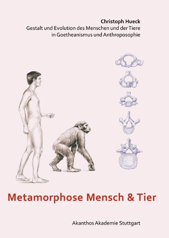 Metamorphose Mensch und Tier