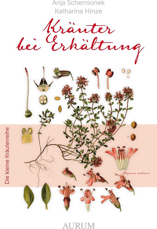 Kräuter bei Erkältung