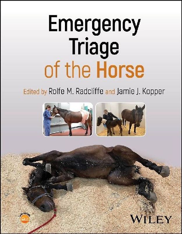 Emergency Triage of the Horse