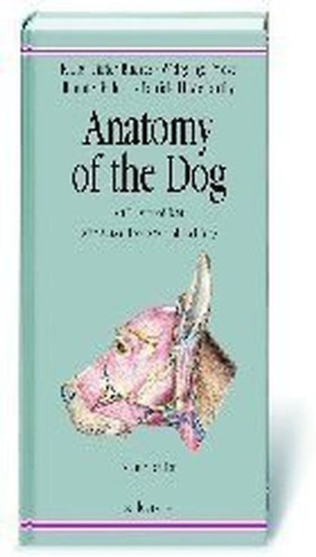 Anatomy of the Dog