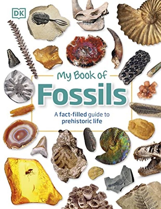 My Book of Fossils