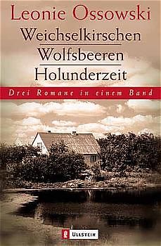 Weichselkirschen /Wolfsbeeren /Holunderzeit