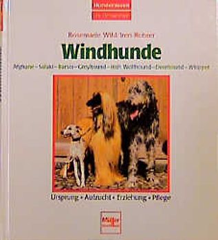 Windhunde - Afghane/Saluki/Barsoi/Greyhound/Irish Wolfhound/Deerhound/
