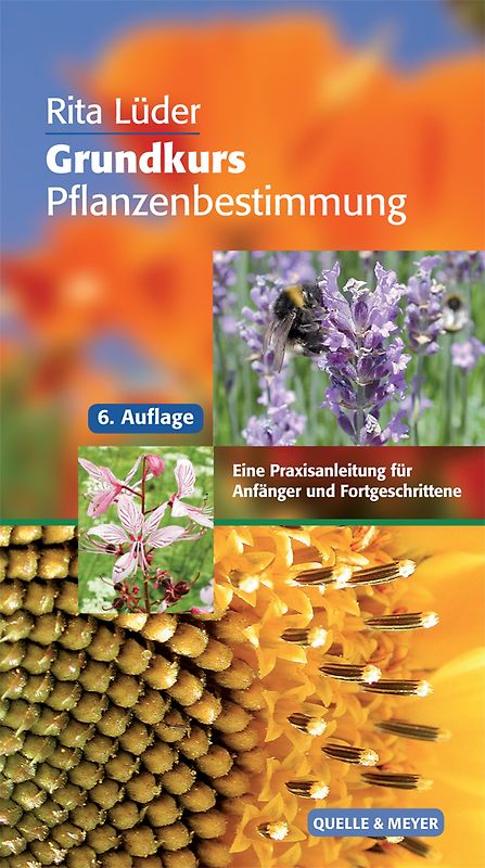 Grundkurs Pflanzenbestimmung