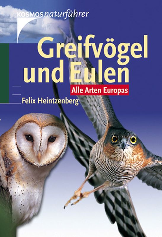 Greifvögel und Eulen