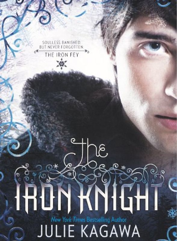 The Iron Knight (The Iron Fey)