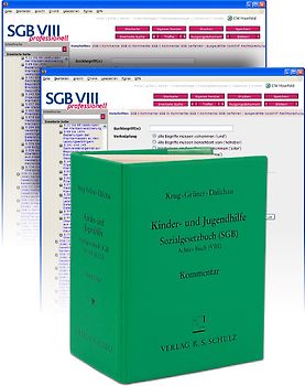 SGB VIII - Kinder- und Jugendhilfe