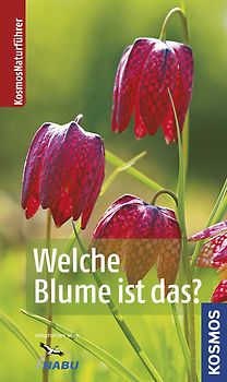Welche Blume ist das?