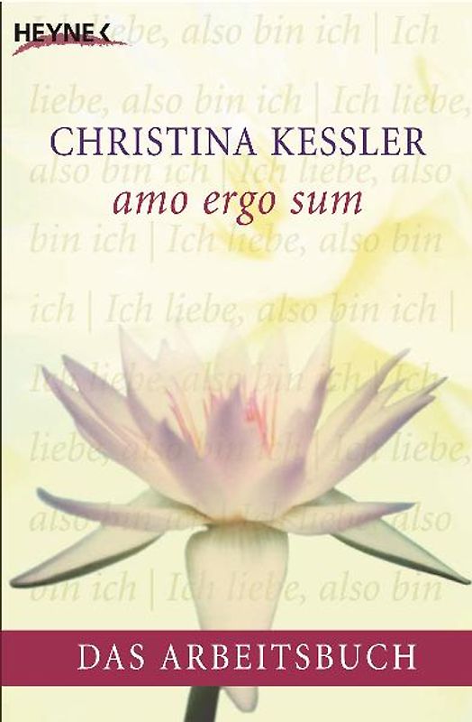 amo ergo sum - Das Arbeitsbuch