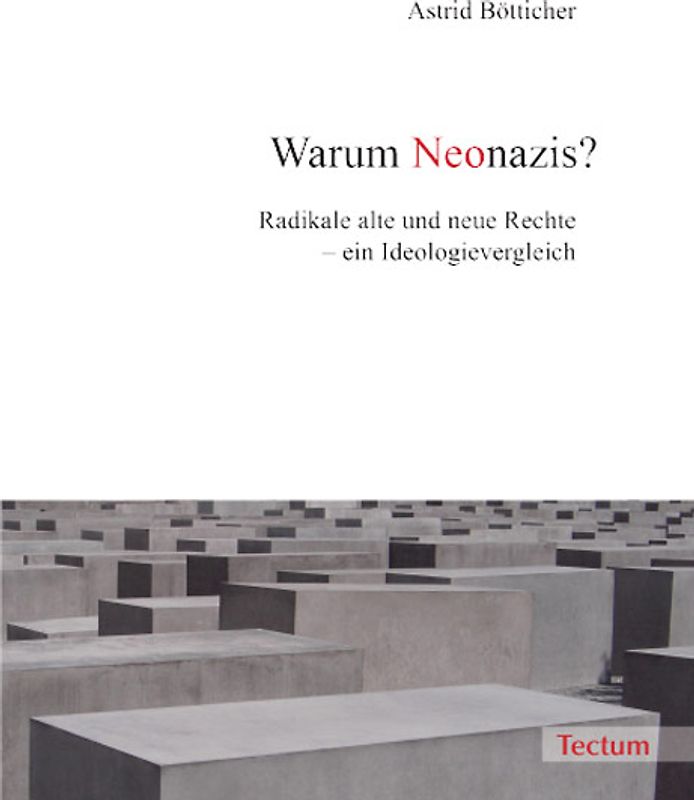 Warum Neonazis?