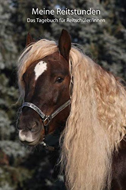 Meine Reitstunden Das Tagebuch für Reitschüler/innen: Mit liebevoll gestalteter Vorlage für schnelle, individuelle Einträge Deiner Reitstunden (Meine ... - weitere Pferde auf dem Cover, Band 10)