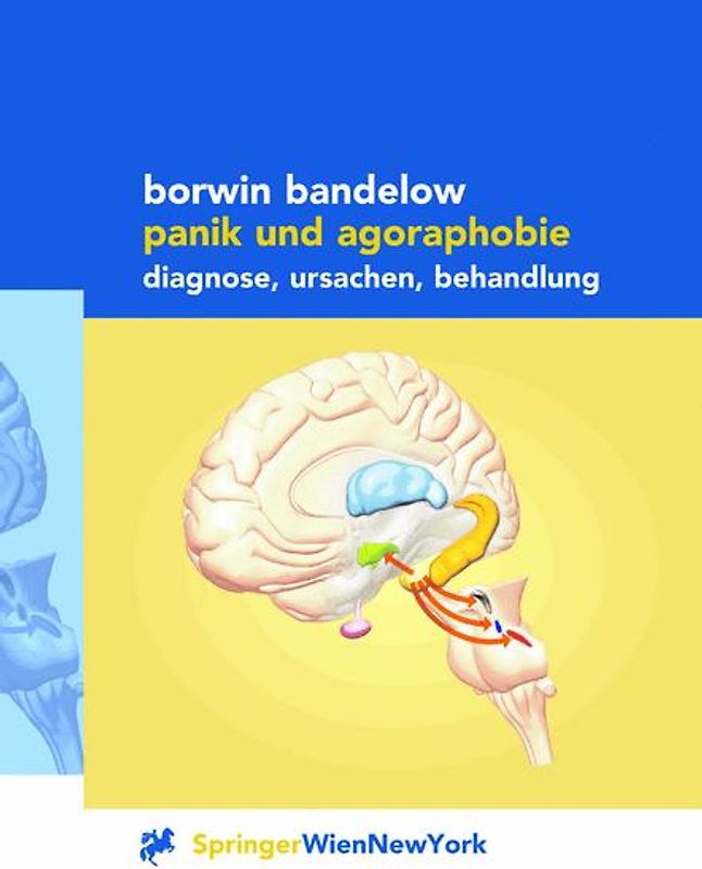 Panik und Agoraphobie