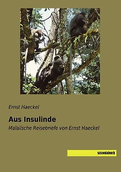 Aus Insulinde