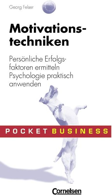 Pocket Business / Motivationstechniken