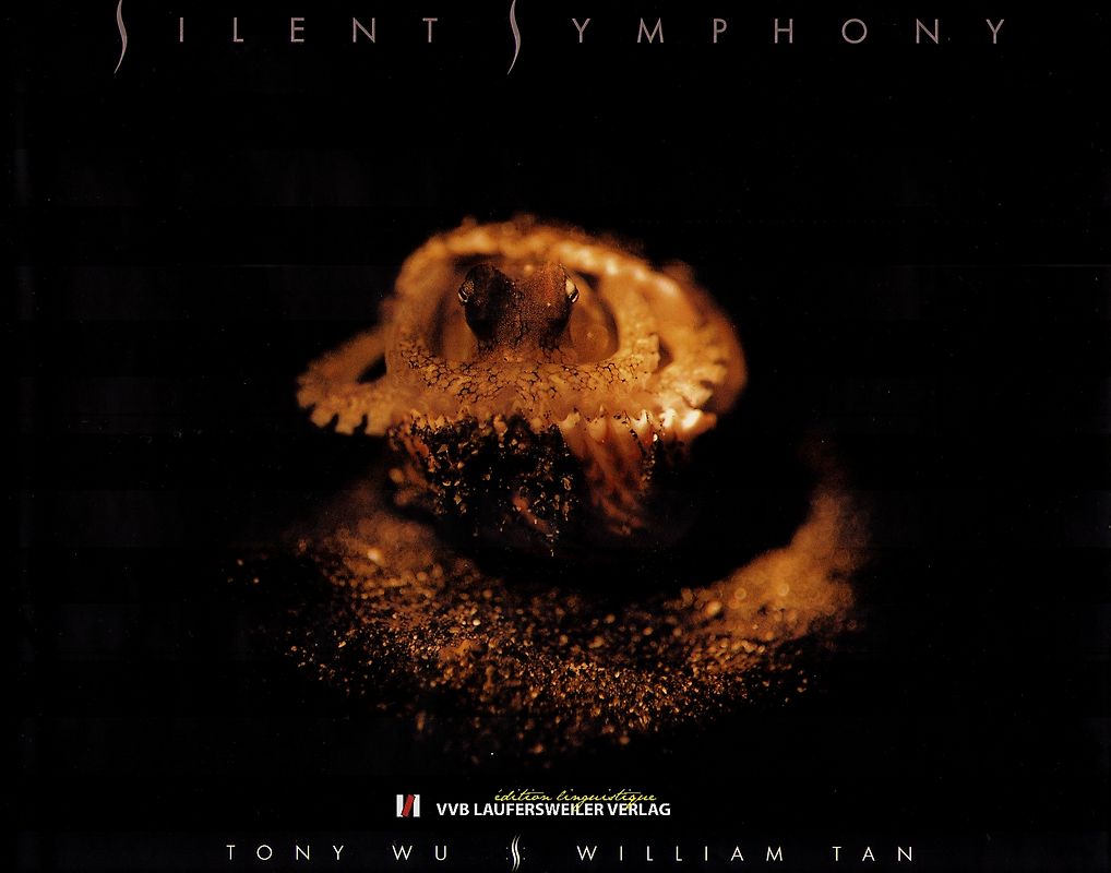 Silent Symphony - Unterwasserwelt in Asien und Mikronesien in mariner Fotografie