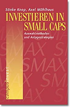 Investieren in Small Caps
