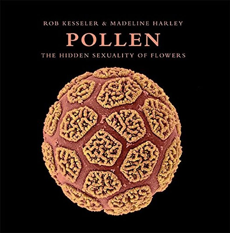 Pollen: The Hidden Sexuality of Flowers