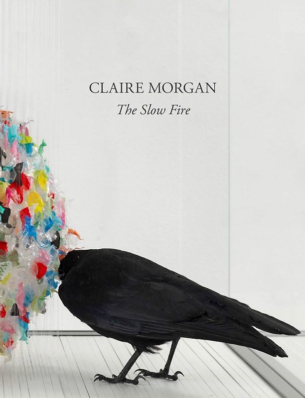 Claire Morgan