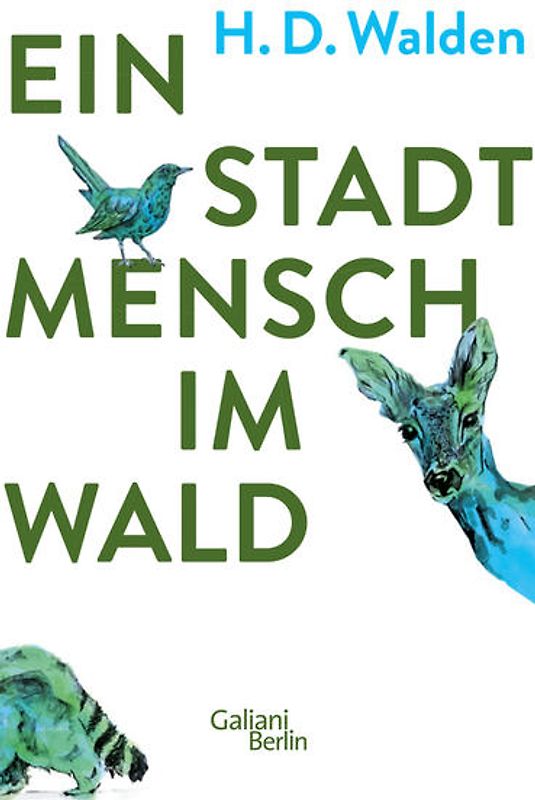 Ein Stadtmensch im Wald